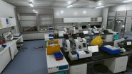 Immagine Tested on Humans: Escape Room (PC)