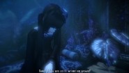 Immagine Immagine CINERIS SOMNIA PC
