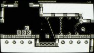 Immagine Cecconoid (Linux)