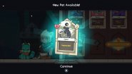Immagine Immagine Wildfrost Nintendo Switch