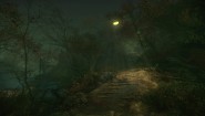 Immagine The Cursed Forest (PC)