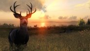 Immagine theHunter Classic (PC)