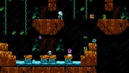 Immagine Immagine Micro Mages NES