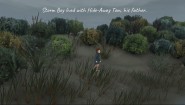 Immagine Storm Boy (Xbox One)