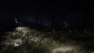Immagine Sign of Silence (PC)