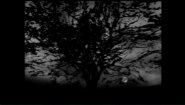 Immagine The Night Journey (PS4)