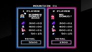 Immagine Arcade Archives ICE CLIMBER (Nintendo Switch)