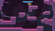 Immagine Vision Soft Reset (PC)
