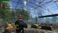 Immagine Immagine Radiation City Nintendo Switch