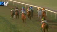 Immagine Immagine Phar Lap: Horse Racing Challenge PS4