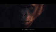 Immagine Planet of the Apes: Last Frontier PC