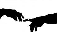 Immagine OVIVO (Mac)