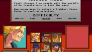 Immagine Slam Fighter II (PC)
