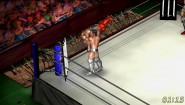Immagine Fire Pro Wrestling World PC