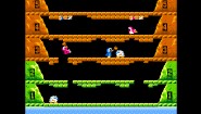 Immagine Immagine Arcade Archives ICE CLIMBER Nintendo Switch