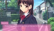Immagine Real Life Plus Ver. Kaname Komatsuzaki (Linux)