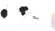 Immagine Guppy (Linux)