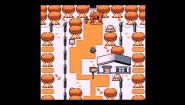 Immagine Disc Creatures (PC)