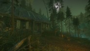 Immagine The Cursed Forest (PC)