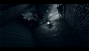 Immagine White Mirror (PC)