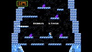 Immagine Arcade Archives ICE CLIMBER (Nintendo Switch)