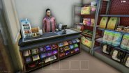 Immagine TRADER LIFE SIMULATOR 2 (PC)