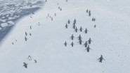 Immagine Natural Instincts (PC)