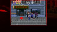 Immagine Immagine Double Dragon Trilogy PC