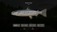 Immagine Immagine Russian Fishing 4 PC
