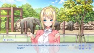 Immagine Immagine KukkoroDays Nintendo Switch