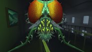 Immagine Fly in the House (PC)