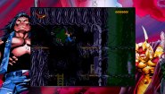 Immagine Immagine Blizzard Arcade Collection PC
