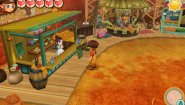 Immagine Story of Seasons: Trio of Towns (3DS)