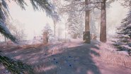 Immagine Bottle (PC)