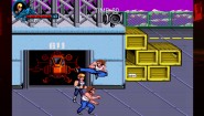 Immagine Double Dragon Trilogy (PC)