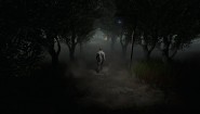 Immagine Immagine Roots of Insanity PC