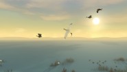 Immagine Storm Boy (Xbox One)