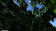 Immagine Immagine Rake PC