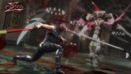 Immagine Immagine Ninja Gaiden Sigma PC