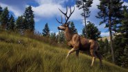 Immagine Way of the Hunter PS5