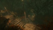 Immagine Immagine The Cursed Forest PC