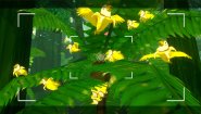 Immagine Beasts of Maravilla Island (Mac)