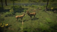 Immagine Natural Instincts (PC)