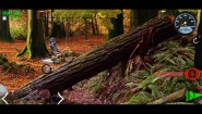 Immagine World Enduro Rally (PC)