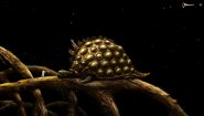 Immagine Samorost 3 (Mac)