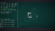 Immagine Immagine Caves of Qud Linux