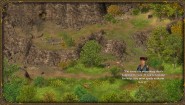 Immagine Hero of the Kingdom III (Linux)