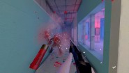 Immagine Maximum Action (PC)