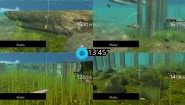 Immagine Legendary Fishing (3DS)
