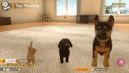 Immagine Immagine Little Friends: Dogs & Cats Nintendo Switch